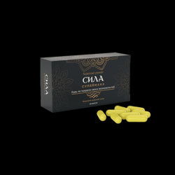 The Power of Suleiman