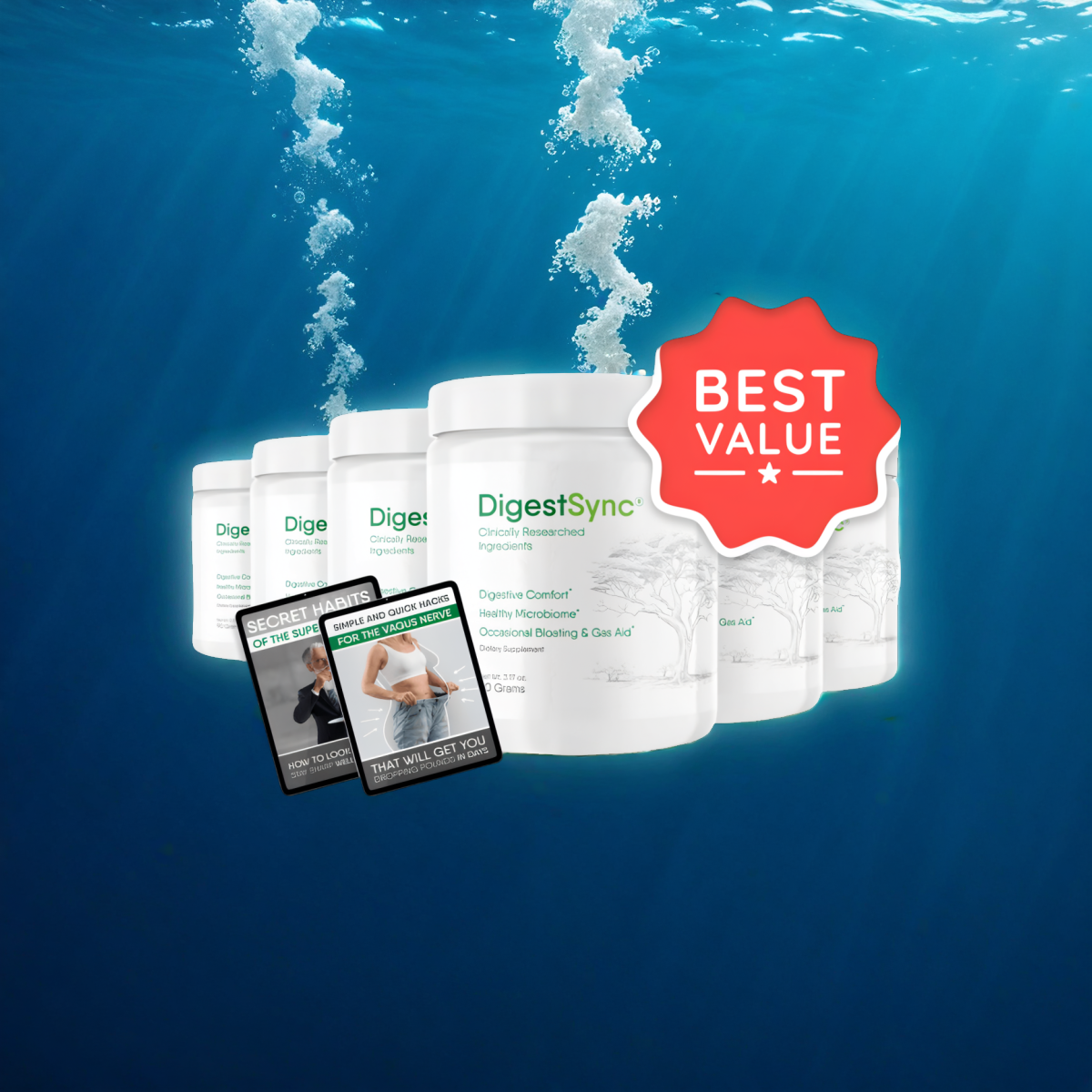 DigestSync - 6 Jars + 2  Ebooks