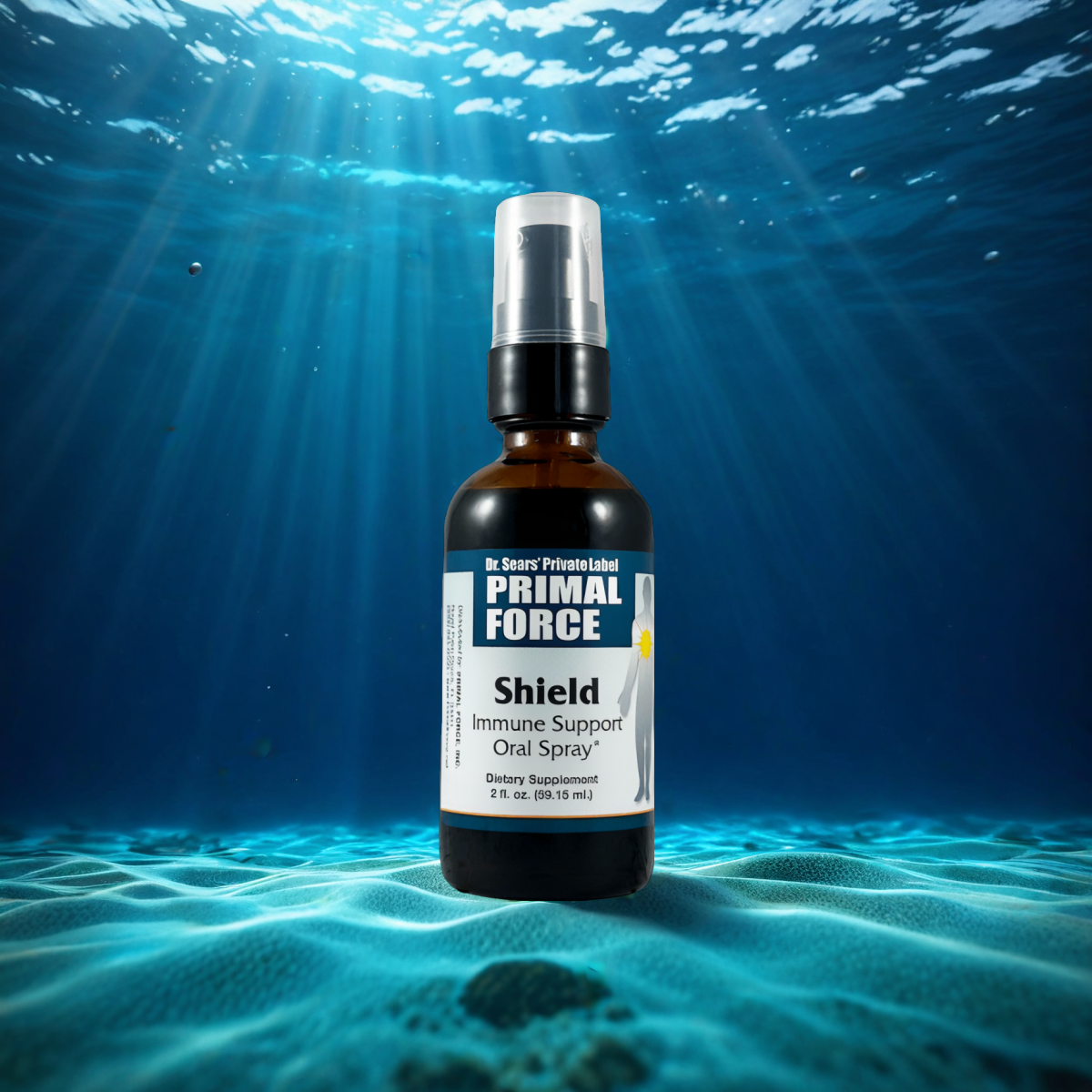 Shield Immune Support (1 bottle)